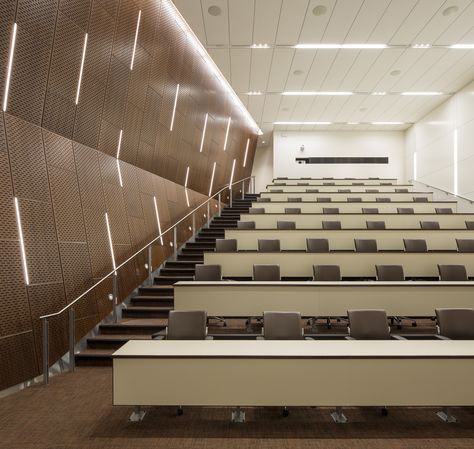 Fancy Classroom Aesthetic, Small Lecture Hall, Lecture Hall Aesthetic, Modern Lecture Hall, Modern School Interior, Lecture Hall Design, School Building Plans, Seminar Room, Lecture Room