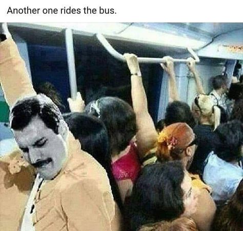 Queen Humor, Queen Meme, Freddy Mercury, Queen Photos, Queen Pictures, Queen Freddie Mercury, John Deacon, Train Ride, Brian May