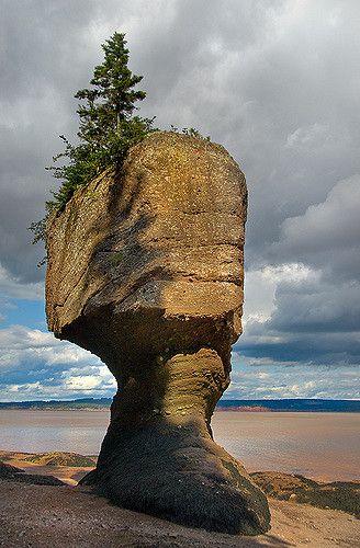 Flower Pot Rock, Hopewell Rocks, NB Hopewell Rocks, Stone Structures, Bay Of Fundy, New Brunswick Canada, Beautiful Canada, Eastern Canada, Atlantic Canada, Saint John, Prince Edward Island