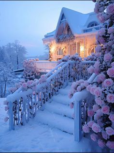 Winter Wonderland Pink, Hairstyles And Colors, Celebrities Hairstyles, Snow White Queen, Christmas Coffee Table Decor, Dream Bedroom Inspiration, Snow Flower, Campervan Life, Park In New York