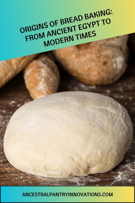 Explore the origins of bread baking from ancient Egypt to modern times. Discover traditional recipes and modern techniques in this comprehensive guide.
#baking #bread #breadbaking Egyptian Bread, Traditional Bread Recipe, Food Innovation, Clay Oven, Wild Yeast, Traditional Recipes, Baking Bread, Rye Bread, Fire Roasted