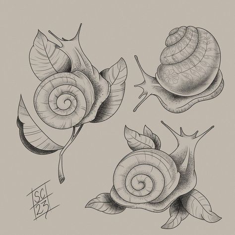 Traditional Snail Tattoo, Snail Tattoo Design, Snail Tattoos, Slug Tattoo, Snail Tattoo, Aesthetic Sketchbook, Abstract Tattoo Ideas, Tattoo Over Scar, Ipad Inspo