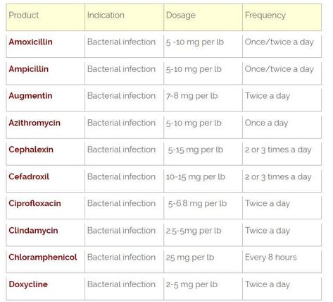 Dog Gestation Chart, Dog Medicine Chart, Veterinary Notes, Dog Breeding Business, Vet Practice, Vet Notes, Vet Tech Student, Meds For Dogs, Pet Meds