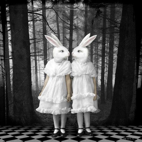 Dark Alice In Wonderland, Alice In Wonderland Aesthetic, Arte Occulta, Creepy Vintage, Follow The White Rabbit, Here On Earth, Creepy Cute, White Rabbit, Health Problems