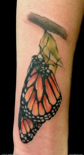 Butterfly Cocoon Tattoo, Cocoon Tattoo, Metamorphosis Tattoo, Tiger Butterfly Tattoo, Caterpillar Tattoo, Monarch Tattoo, Butterfly Mural, Butterfly Cocoon, Butterfly Legs