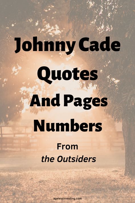 An image of the sun setting under tree branches, with the text overlay: "Johnny Cade Quotes And Pages Numbers From The Outsiders" Outsiders Quotes, The Outsiders Quotes, Johnny Cade, Inspirational Quotes From Books, Character Description, Book Quotes, The Outsiders, Inspirational Quotes, Quotes