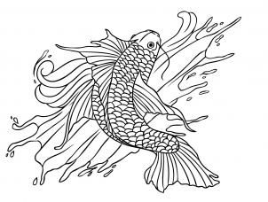 how to draw a koi fish tattoo step 7 Pisces Tattoo Designs, Coy Fish, Koi Fish Drawing, Pisces Tattoos, Ikan Koi, Fish Coloring Page, Koi Fish Tattoo, Japanese Koi, Lion Pictures