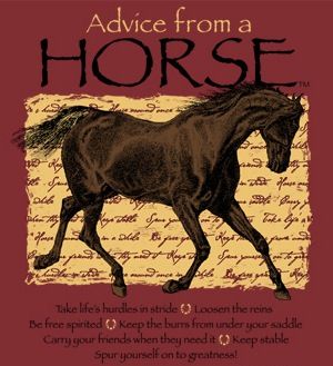 Advice from a horse!! :) Earth Sun And Moon, Horse Sweatshirts, Horse Camp, Equestrian Helmet, Horse Riding Clothes, Horse Wallpaper, English Riding, Horse Quotes, Horse Blankets