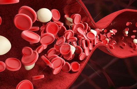 Blood Photos, Medical Animation, Slim Diet, Poor Circulation, Red Stockings, Digital Media Marketing, Image File Formats, Scene Image, Red Blood