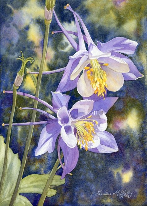 Columbine Flower, Floral Watercolor Paintings, Ink Paintings, Shade Flowers, Watercolor Pictures, Watercolor Flower Art, Rare Flowers, Watercolor Flowers Paintings, Botanical Watercolor