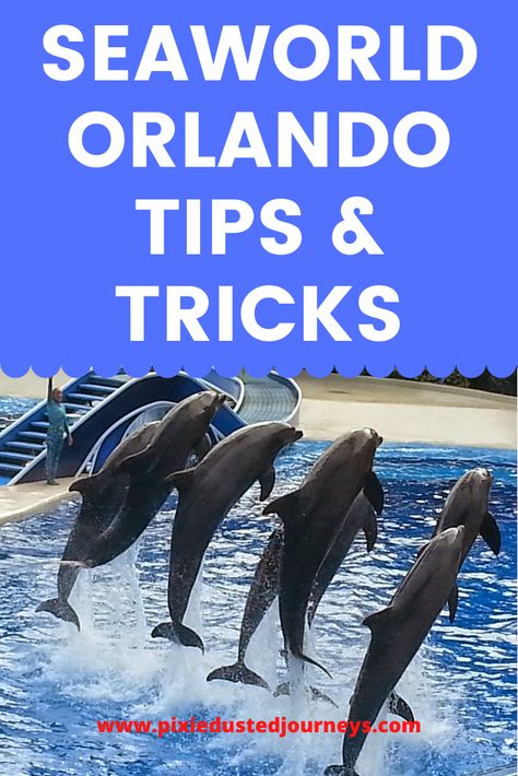 Whale Poster, Remote Teaching, Orlando Trip, Disney Parque, Miss Florida, Florida Orlando, Seaworld Orlando, Orlando Hotel, Orlando Travel