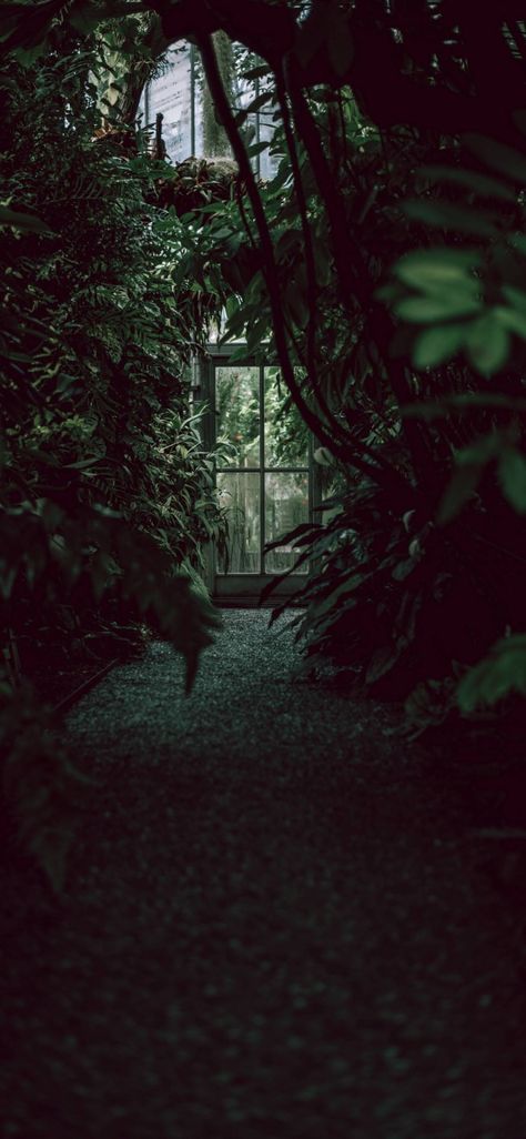 LOCKSCREENS, GREENHOUSE // REQUESTED Greenhouse Door, Kodak Black Wallpaper, Wallpaper Door, Plants Green, Hedge Witch, Plant Wallpaper, Plant Aesthetic, Aesthetic Desktop Wallpaper, Deciduous Trees