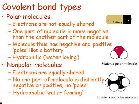 Polar Covalent Bonds Polar Bonds Chemistry, Polar Covalent Bonds, Polar And Nonpolar Bonds, Polar And Non Polar Chemistry, Covalent Bonds Notes, Covalent Bonds, Chemistry Help, School Science Experiments, Biochemistry Notes