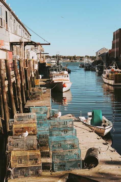 Places to stay in midcoast Maine for you and your wedding guests | Photo by  Matt McNulty  on  Unsplash Day Trips From Boston, Wedding Guests Photos, Byron Bay Beach, Beach Apartments, Maine Photography, Visit Maine, Maine Vacation, Maine Travel, Maine Wedding