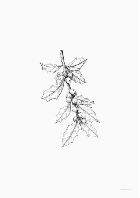 December Birth Flower Tattoo Holly, Holly Flower Tattoo, Holly Tattoo, Profile Tattoo, Winter Tattoo, Holly Flower, Flower Spine Tattoos, Holly Branch, Tattoo For Boyfriend