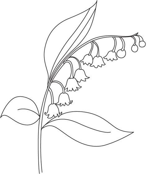 Beautiful bellflower coloring page Bellflower Drawing, Flower Outline Drawing, Flower Templates Printable, Flower Line Drawings, Flower Drawings, Flower Drawing Design, Flower Outline, Colouring Page, Outline Designs