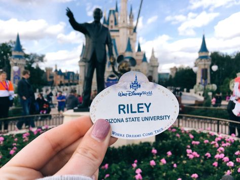 Dcp Pictures, Working At Disney, Florida Pictures, Disneyland Birthday, Punk Disney Princesses, Disney College, Disney Lifestyle, Disney College Program, Disney Cast Member