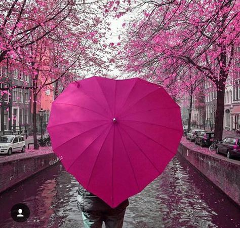 Heart umbrella Pink Umbrella, Umbrella Art, Under My Umbrella, Pink Life, Aesthetic Wall, Tickled Pink, Everything Pink, Pink Love, Pink Aesthetic