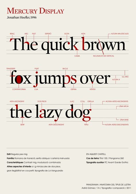 Type Anatomy by Adrià Gómez, via Behance Letter Anatomy, Anatomy Of Typography, Typography Rules, Type Anatomy, Typographic Poster Design, Typography Book, 타이포그래피 포스터 디자인, Design Theory, Typography Layout