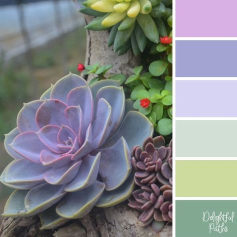 Mauve And Pink Succulents succulent color palette DelightfulPaths.com Saturated Colour Palette, Succulent Color Palette, Pink Succulents, Color Palette From Image, Beautiful Color Palettes, Painting 101, Wellness Store, Beaded Things, Spring Palette