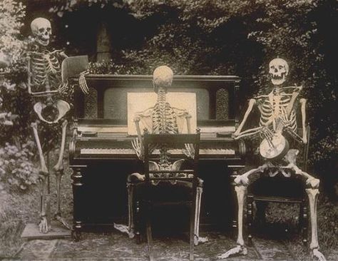 Three skeletons at the piano Three Skeletons, Dead Can Dance, Halloween Greetings, National Archives, Folk Music, Skull And Bones, Grateful Dead, Memento Mori, Insta Photo