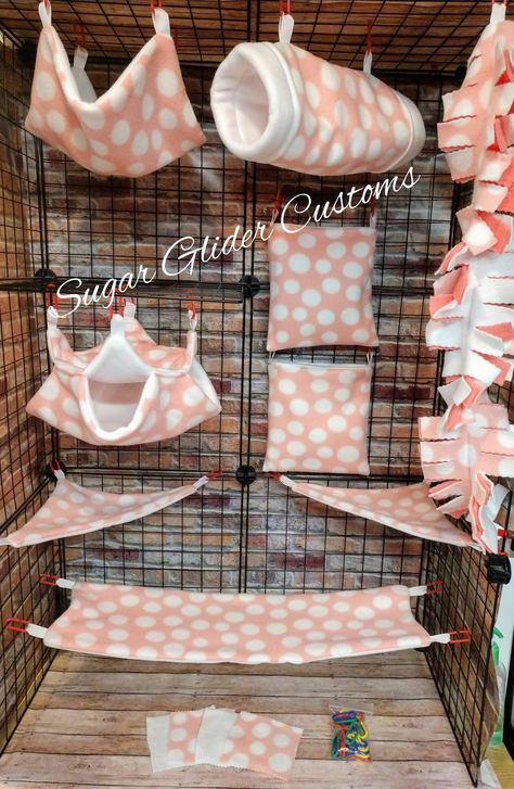 Sugar Glider Pet, Rat Cage Accessories, Sugar Glider Cage, Rat Hammock, Bird Ideas, Sugar Glider Toys, Ferret Cage, Rat Toys, Rat Cage