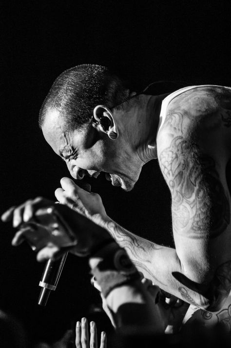 Linkin Park Meteora, Linking Park, Name Drawings, Charles Bennington, Linkin Park Chester, Florida Man, Mike Shinoda, Chester Bennington, Linkin Park