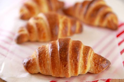 Homemade Chocolate Croissants Chocolate Croissant Recipe, Gemma Stafford, Croissants Recipe, Chocolate Croissants, Bigger Bolder Baking, Croissant Recipe, Chocolate Croissant, Puff Pastry Recipes, Homemade Chocolate