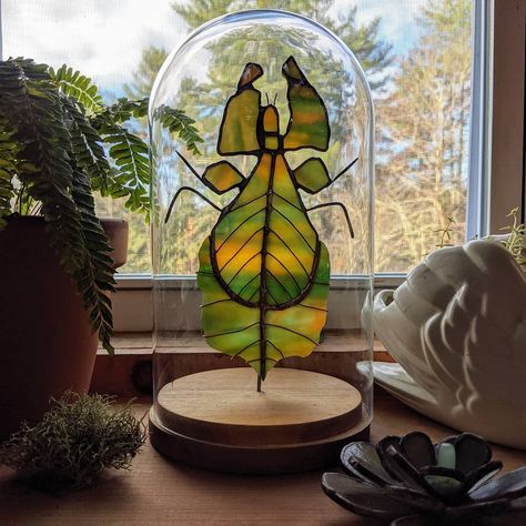 Bug Stained Glass Pattern, Stained Glass Bugs, Stained Glass Moth, Leaf Insect, Power Back, Stained Glass Diy, Stained Glass Crafts, Insect Art, Stained Glass Designs