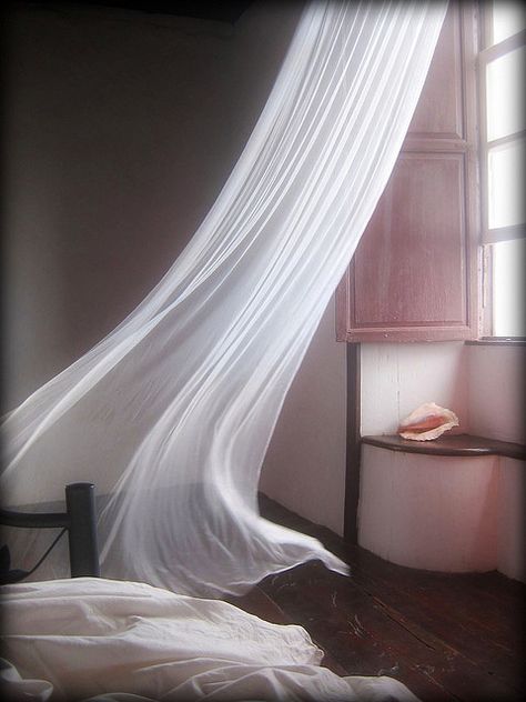 "That light breeze ...  which Germans call 'the Wind's Bride'..."    Charles Godfrey Leland Blowin' In The Wind, Open Window, Summer Breeze, Sheer Curtains, Beautiful World, Window Treatments, Wattpad, Curtains, Interior Design