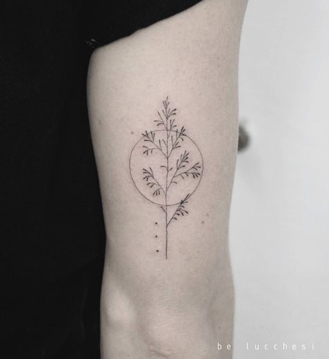 Poetic Drawings, Piercing Combinations, Tricep Tattoo, Fine Line Tattoo Designs, Line Tattoo Designs, Tricep Tattoos, Coffee Tattoos, Muster Tattoos, Fine Line Tattoo