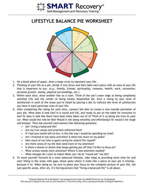 lifestyle balance pie worksheet - SMART Recovery Life Plan Template, Smart Recovery, Life Balance Wheel, Excel Worksheet, Work Lifestyle, Goal Setting Printable, Smart Goal Setting, Mental Health Facts, Goal Setting Worksheet