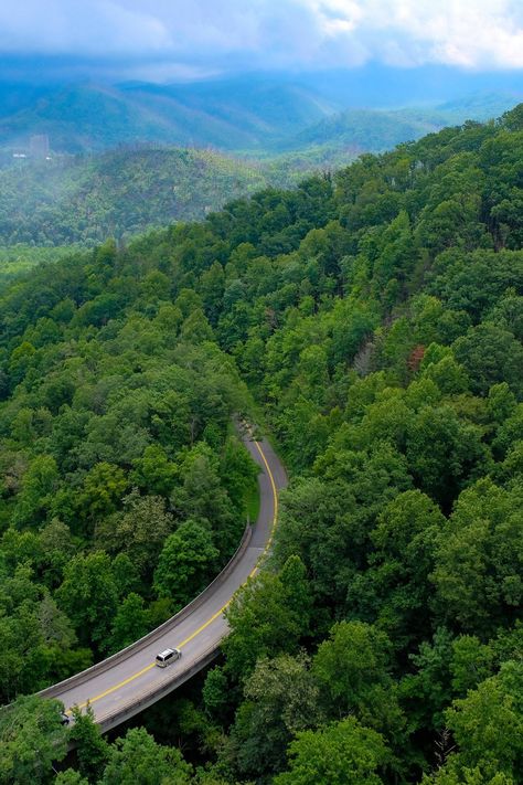 Forest Highway, Ing Civil, Best Nature Images, Road Photography, Scenery Background, Beautiful Roads, Amazing Nature Photos, Traditional Landscape, Beautiful Places Nature