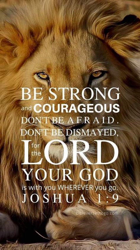 Lion Bible Verse Wallpaper – Bible Verses To Go Lion Bible Verse, Scripture Wallpaper, Lion Quotes, Christian Wallpapers, Bible Verse Background, Bible Verses About Strength, Quotes Bible, Powerful Bible Verses, Ayat Alkitab