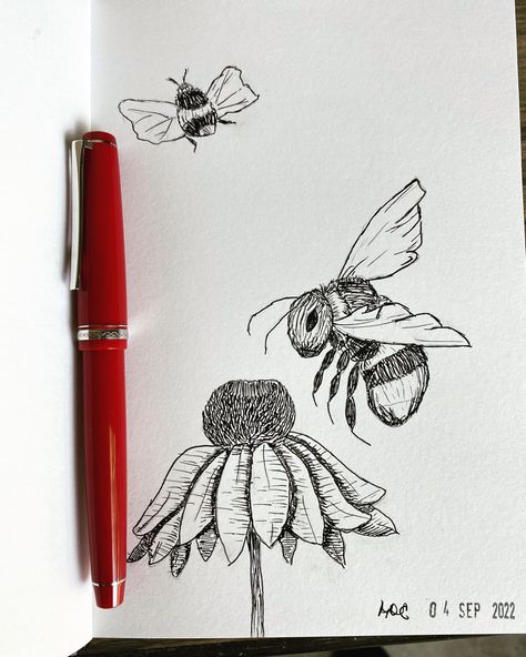 Micron Pen Art Simple, Micron Pen Drawing, Bee Sketch, Micron Pen Art, Pen Artwork, Butterfly Art Drawing, Crazy Tattoos, Pen Art Work, Whimsical Art Journal