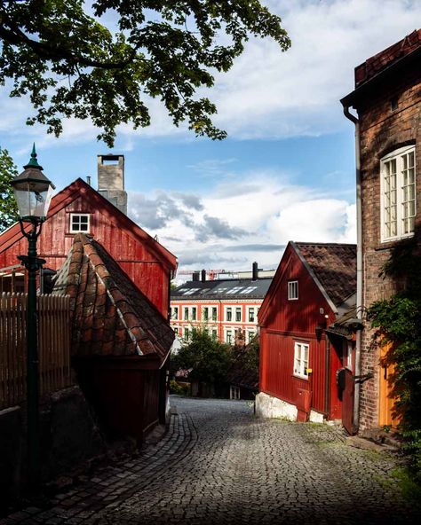 3 Days In Oslo: The Ultimate Oslo Itinerary Oslo What To Do, Oslo Itinerary, One Day In Oslo, Oslo Travel, Bergen To Oslo Train, Visit Oslo, Oslo Opera House, Eat On A Budget, Polynesian Islands