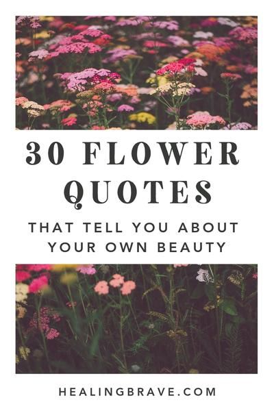 Flowers are symbols of #hope. They grow out of dark, cold places after such a long time. Read these flower #quotes. They’ll remind you that you, too, are part of the #beauty of the world. That you, too, can reach for the light, even after everything you’ve been through. #flowerquotes #mothernaturequotes #healingquotes Symbols Of Hope, Flower Quotes Inspirational, Beautiful Flower Quotes, Cold Places, Mother Nature Quotes, Indian Proverbs, Bloom Quotes, Beauty Of The World, After Everything