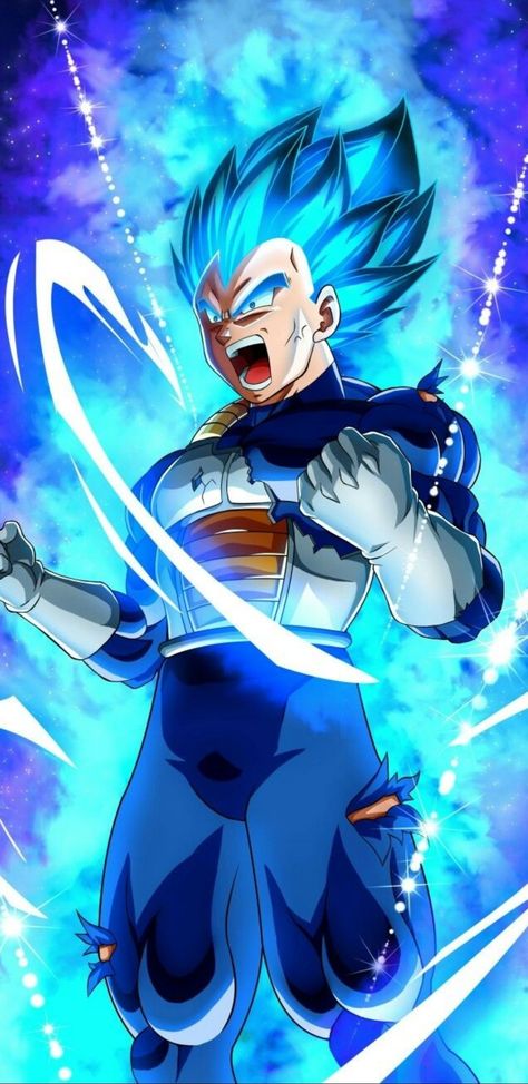 Fondo de pantalla en FHD 1080p Super Vegeta, Dragon Ball Z Iphone Wallpaper, Image Dbz, Goku Y Vegeta, Dragon Ball Tattoo, Dragon Ball Wallpaper Iphone, Dragon Ball Painting, Super Saiyan Blue, Dragon Ball Super Wallpapers