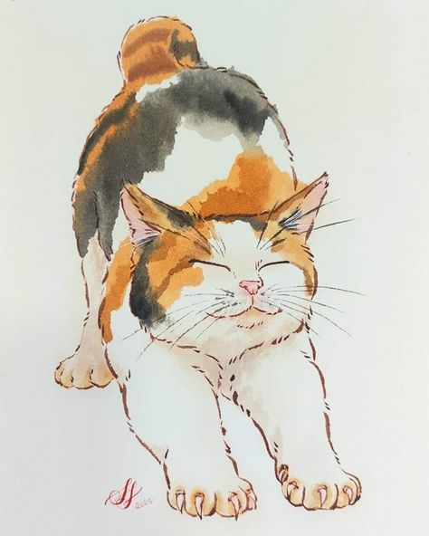 Got Funny, Cat Hacks, 강아지 그림, Watercolor Cat, Watercolor Art Lessons, Arte Sketchbook, Cat Owner, Cat Person, Online Group