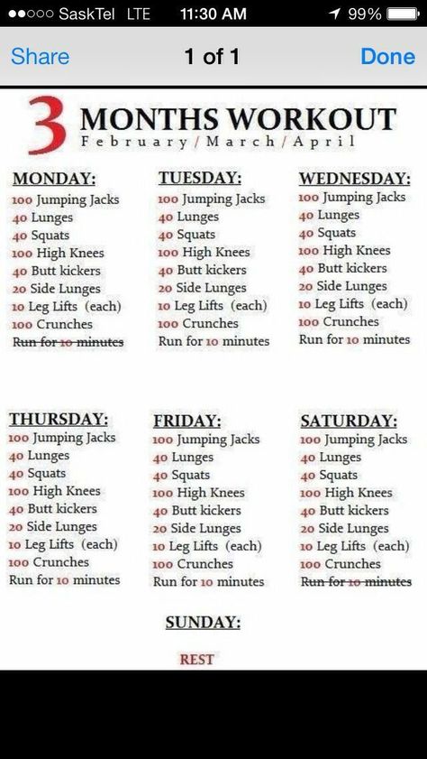 6 Month Workout Plan, Month Workout Plan, 3 Month Workout Plan, 3 Month Workout, Month Workout, Fast Fat Loss, Fat Loss Workout, Losing 10 Pounds, Lose Belly