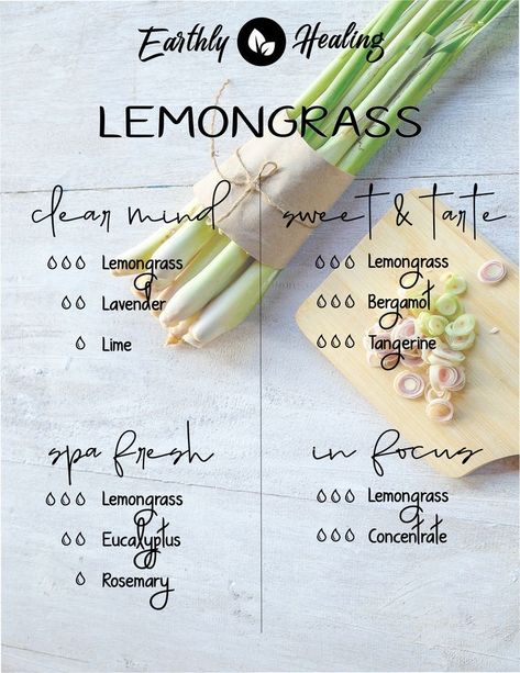 Lemongrass Diffuser Blends, Essential Oil Blends For Colds, Orange Eucalyptus, Spa Home, Essential Oils Collection, Eucalyptus Lavender, Doterra Essential Oils Recipes, Essential Oil Diffuser Blends Recipes, Young Living Essential Oils Recipes