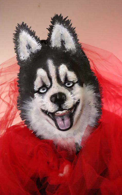 Husky Art, Dog Makeup, Malamute Husky, Animal Makeup, Malamute Dog, Stage Makeup, Facepaint, Fantasy Makeup, Creative Makeup