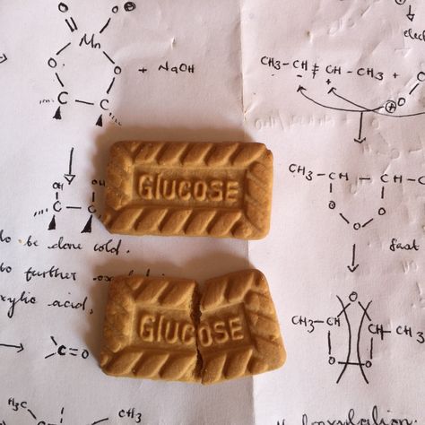 Glycolysis is the breaking down of glucose into pyruvate Biochemistry, Science Art, Study Motivation, Our Body, Beauty Fashion, Biology, We Heart It, Science, Lost