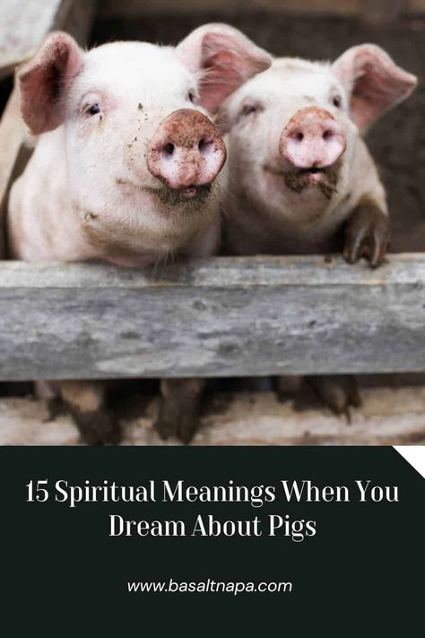 15 Spiritual Meanings When You Dream About Pigs Signs From The Universe, Dream Meanings, Baby Pigs, How To Stop Procrastinating, Make Good Choices, Spiritual Meaning, You Dream, Personality Traits, Starting Your Own Business