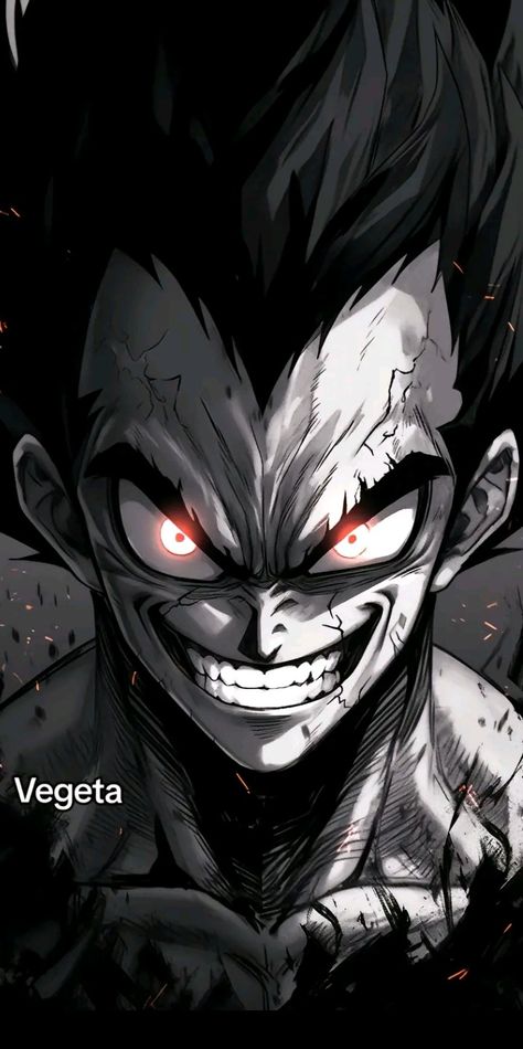 Vegeta Rage, Goku Rage, Vegeta Wallpapers, Ultra Vegito, Anime Rage, Evil Goku, Dragon Ball Z Iphone Wallpaper, Creepy Smile, Dragon Ball Wallpaper Iphone