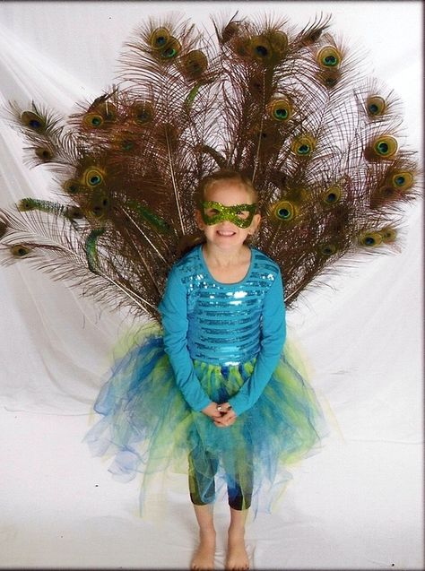 How To Make a Peacock Costume for Girls Peacock Costume Kids, Peacock Halloween Costume, Peacock Halloween, Diy Peacock, Peacock Costume, Halloween Costumes 2016, Costume For Girls, Homemade Costume, Costume Works