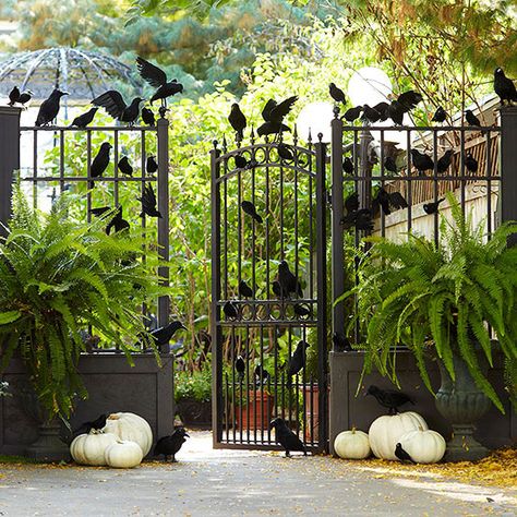 Spook your Halloween guests with a raven covered entry! More Halloween decorations: http://www.bhg.com/halloween/outdoor-decorations/halloween-outdoor-makeover/?socsrc=bhgpin091713ravens Halloween Fence, Vintage Outdoor Decor, Veranda Design, Halloween Decorations To Make, Halloween Diy Outdoor, Image Halloween, Hallowen Ideas, Casa Halloween, Halloween Decorations Diy Outdoor