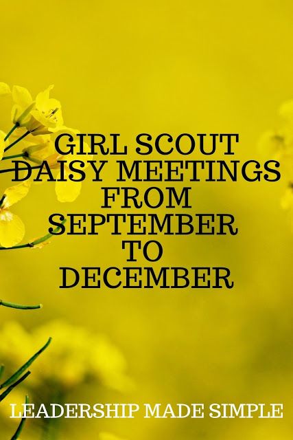 Daisy Leader Ideas, Daisy Scouts Activities, October Girl Scout Meeting Ideas, Daisy Girl Scouts First Meeting, Daisy Troop Meeting Ideas, Daisy Scout Activities, Girl Scout Daisy Petals Activities, Daisy Meeting Ideas, Girl Scouts Daisy Activities