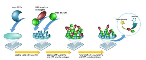 The presented article describes the possibilities of replacing antibodies with artificial molecules in the pseudo-ELISA diagnostic assay.