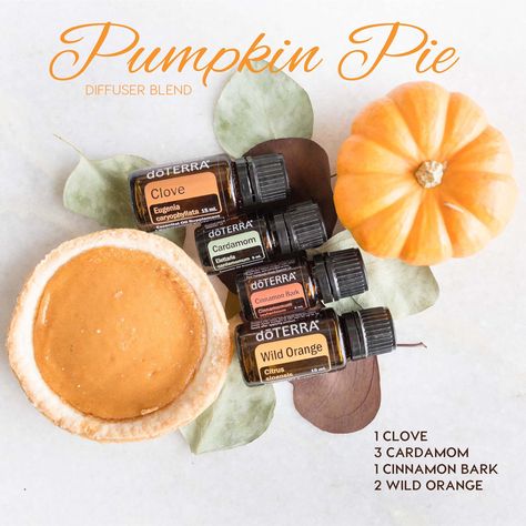 Kitchen Long, Doterra Blends, Fall Diffuser Blends, Doterra Recipes, Doterra Diffuser, Doterra Diffuser Blends, Doterra Essential Oils Recipes, Essential Oil Diffuser Blends Recipes, Essential Oil Diffuser Recipes